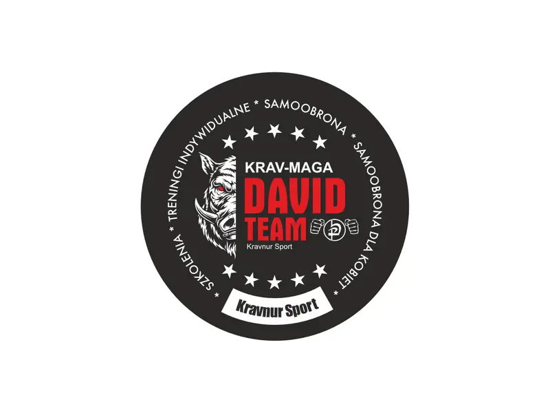 David Team – wariant logo
